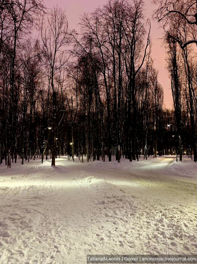 Снежная Москва перед Новым Годом 